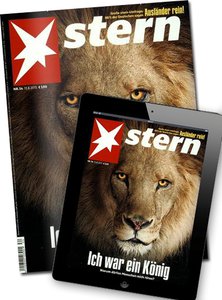 Stern + Digital-Upgrade