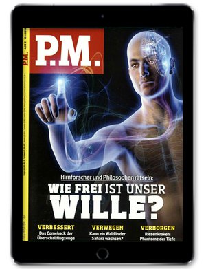 P.M. Magazin Digital